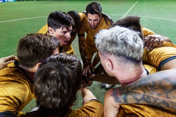 不仅是为了 不仅是为了