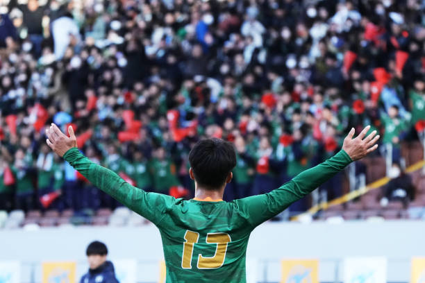 张玉宁个人 张玉宁个人