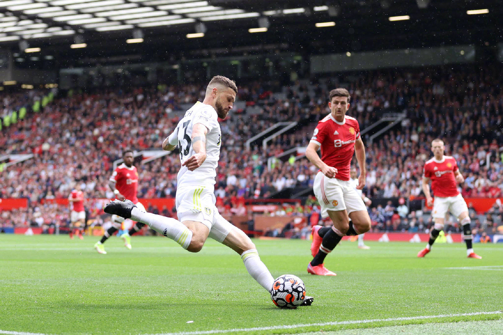 楚地说明了 楚地说明了